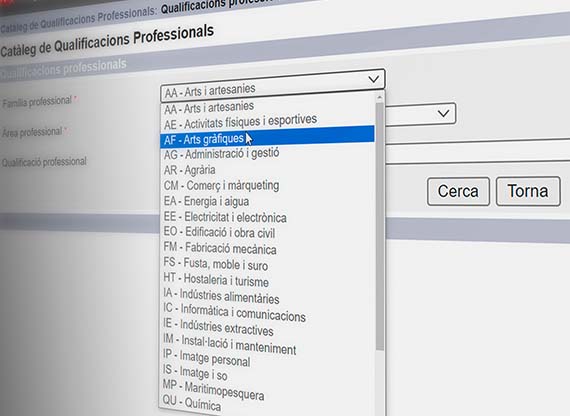 graphedisseny-formacion-catalogo-sistema-fpqp